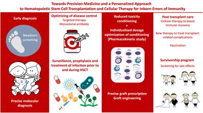 Personalized hematopoietic stem cell transplantation for inborn errors of immunity